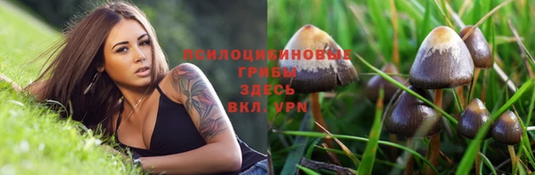 метамфетамин Аркадак