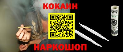 сатива Кингисепп
