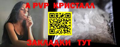 сатива Кингисепп