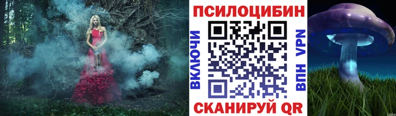 Псилоцибиновые грибы Cubensis  где можно купить наркотик  Кондопога 