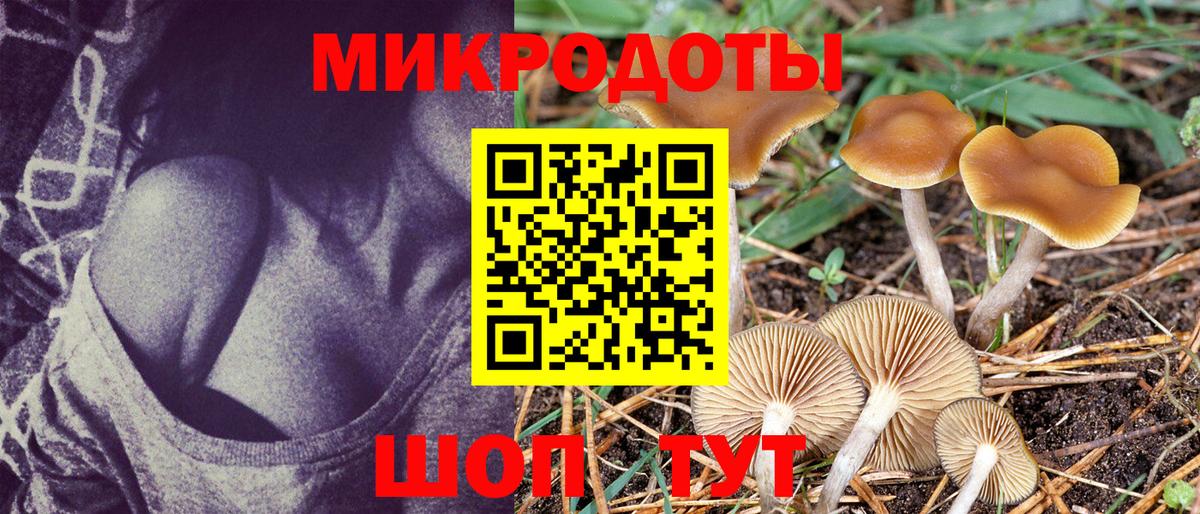 Галлюциногенные грибы GOLDEN TEACHER Кондопога