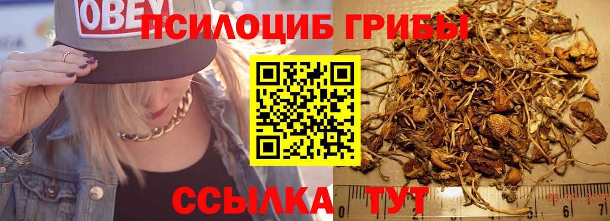 Галлюциногенные грибы Cubensis  Вход с VPN  Кондопога 