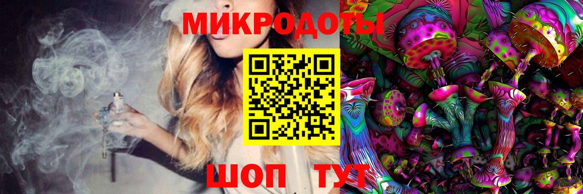Псилоцибиновые грибы Magic Shrooms  Кондопога  где купить наркотик  Галлюциногенные грибы GOLDEN TEACHER 
